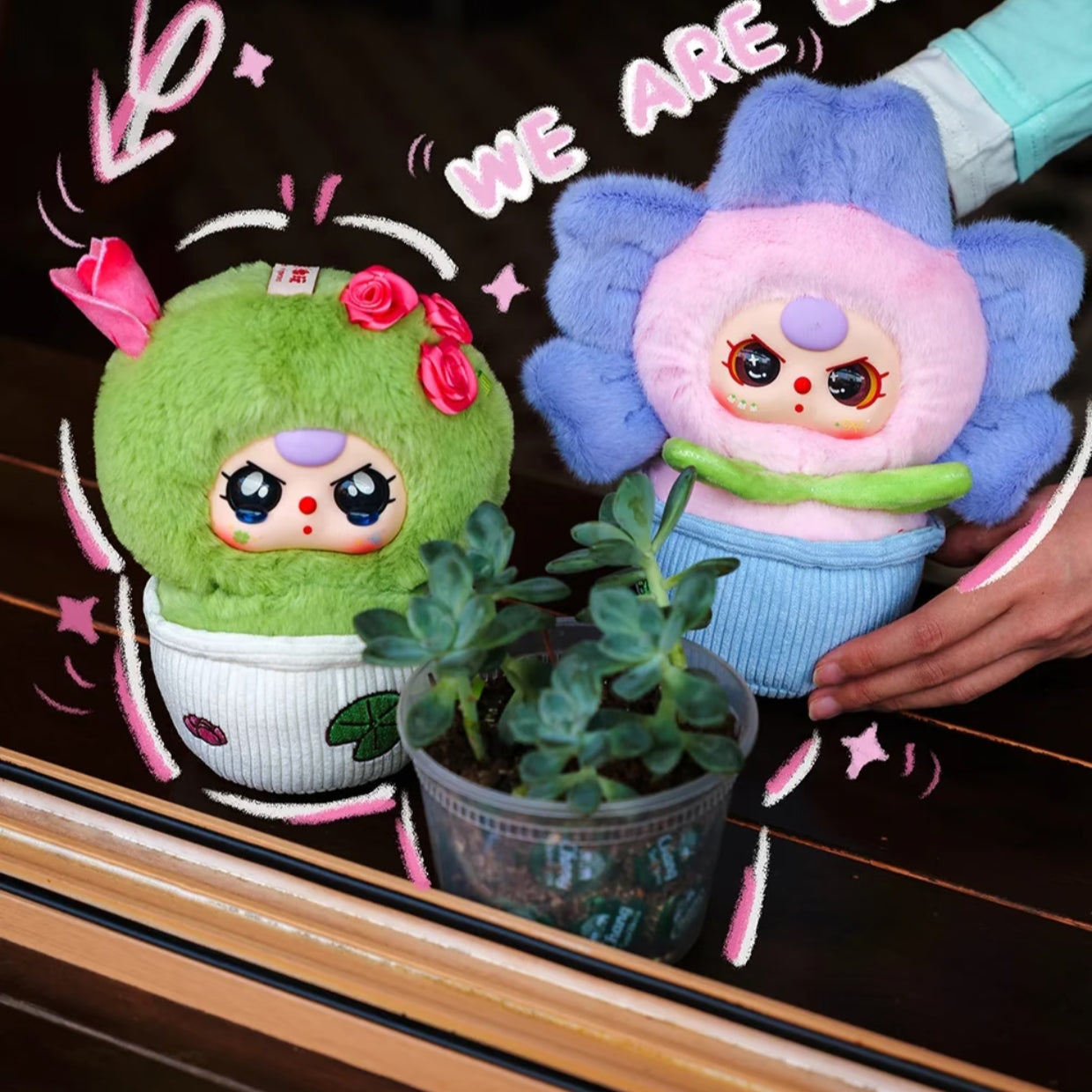 Baby Three-Here is Little Flower Series-preorder