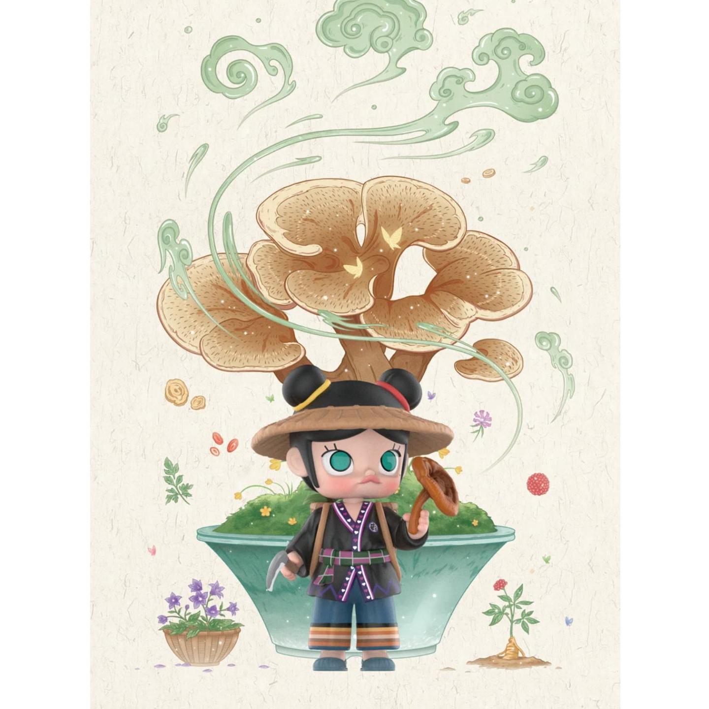 Molly limited edition Collections